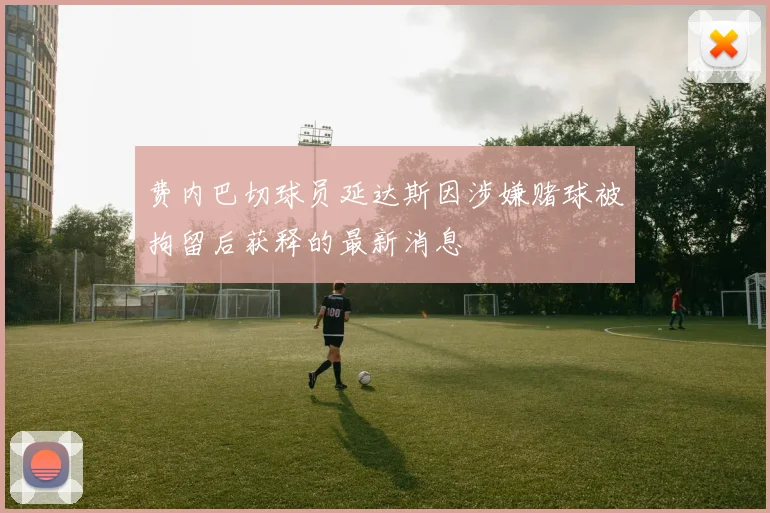 费内巴切球员延达斯因涉嫌赌球被拘留后获释的最新消息