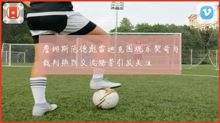 詹姆斯范德彪雷迪克围观东契奇与裁判热烈交流场景引发关注